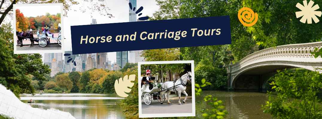 Horse and Carriage Tours
